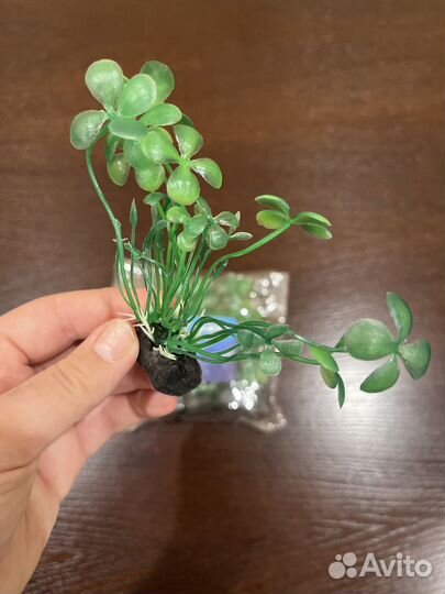 Растение аквариумное (искусственное)