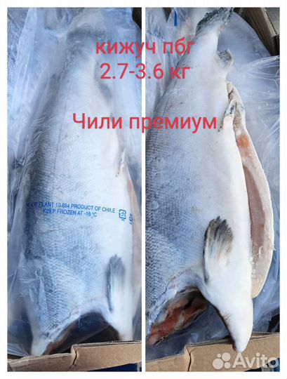 Кижуч пбг свежемороженная (Скумбрия/сельдь/сибас)