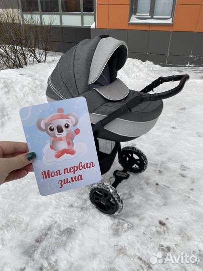 Коляска 2 в 1 Adamex Neonex