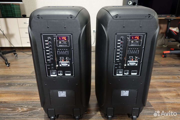 Новые колонки Eltronic 20-05