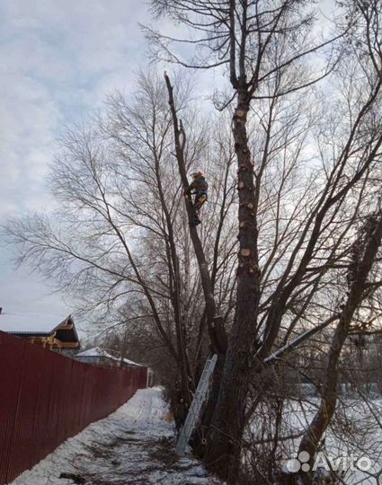 Опиловка деревьев
