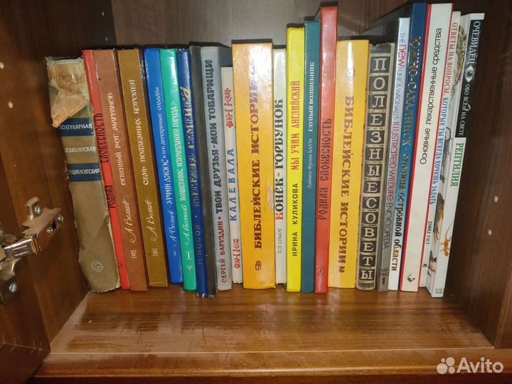 Книги, домашняя библиотека