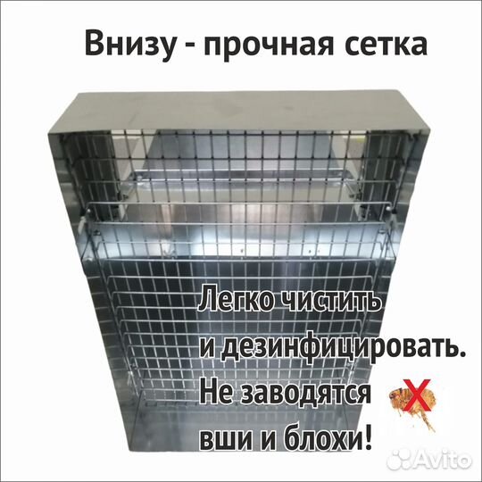 Гнездо для кур с яйцесборником