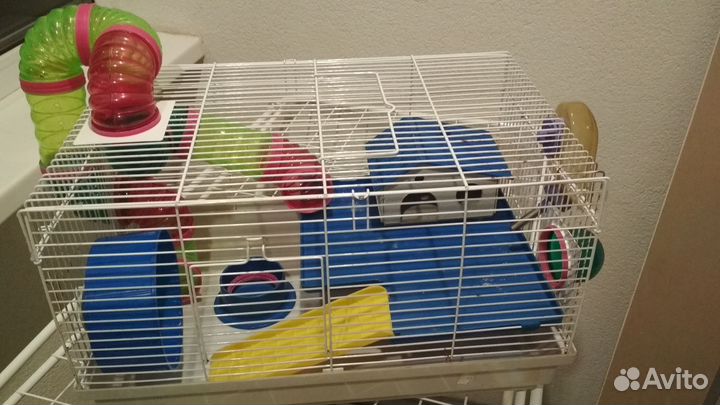 Клетки для джунгарских хомяков