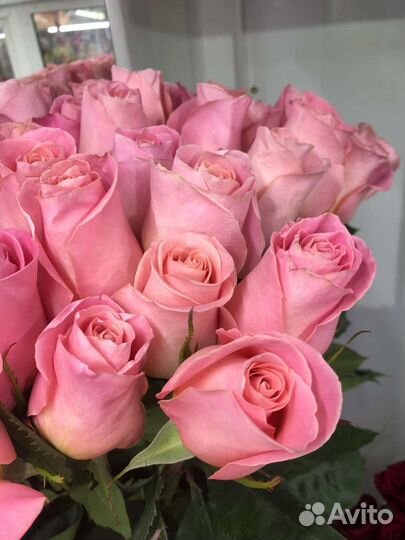 Цветы розы букет