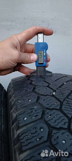 Gislaved Nord Frost 200 205/55 R16 99T