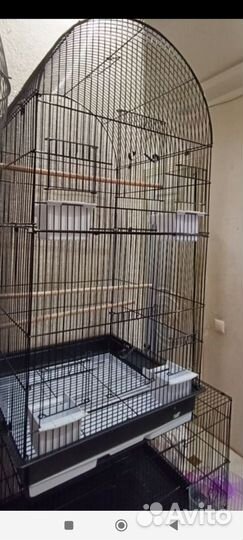 Клетка новая для среднего или крупного попугая