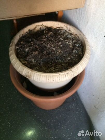 Горшок для цветов