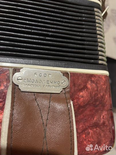 Аккордеон Беларусь