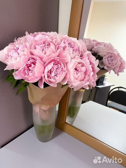 Корни пионов