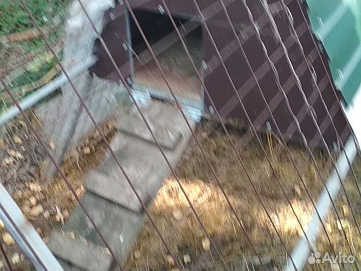 Клетки для животных