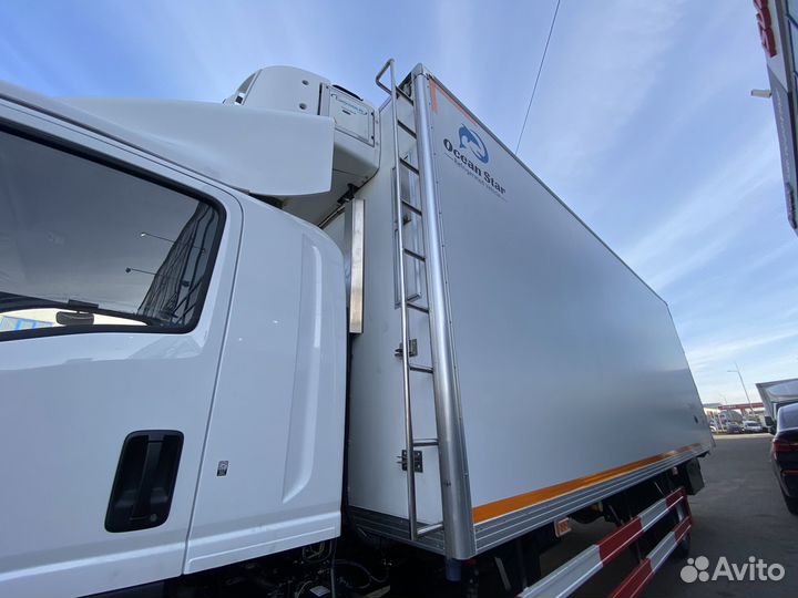 Рефрижератор 462 м³ Isuzu Forward (F-Series), 2024