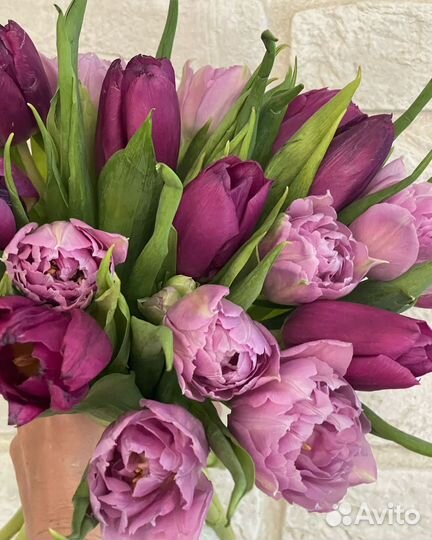 Розы, тюльпаны, букеты