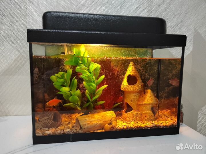 Аквариум