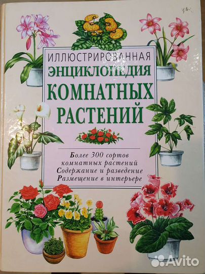 Энциклопедия комнатных растений