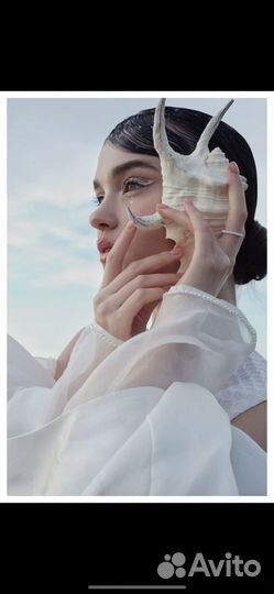 Ракушка морская большая