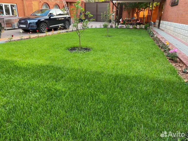 Рулонный газон, укладка, продажа