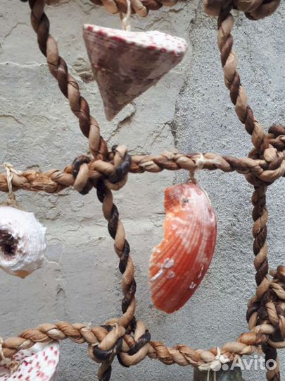 Декор сетка с натуральными ракушками