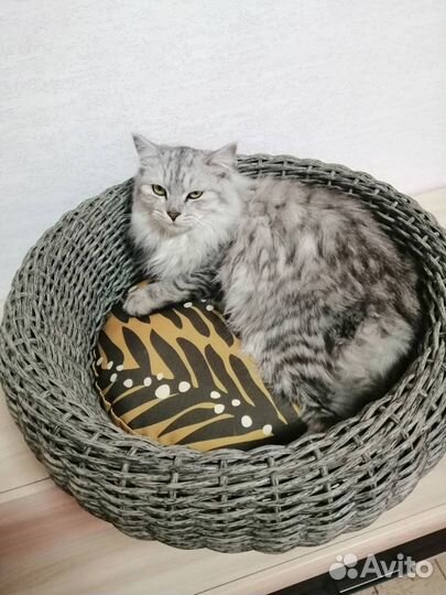 Лежанка из экоротанга