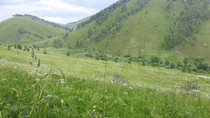 Участок 11 га (СНТ, ДНП)