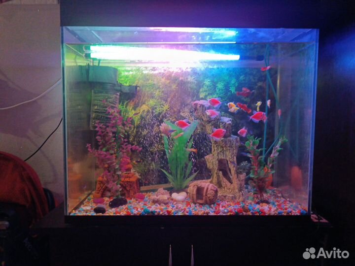Аквариум