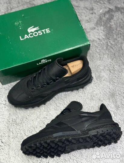 Кроссовки мужские Lacoste