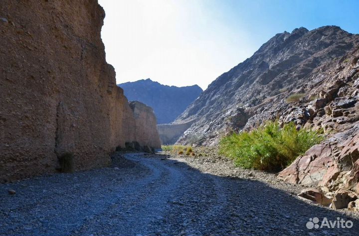 Go в г. Фуджейру 7 дн