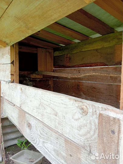 Курятник летний