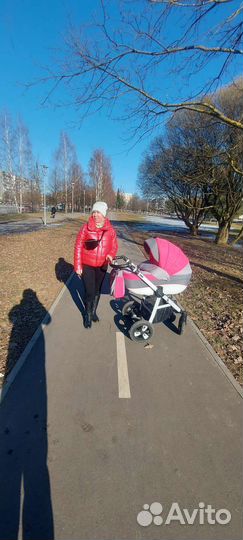 Коляска 2в1 adamex