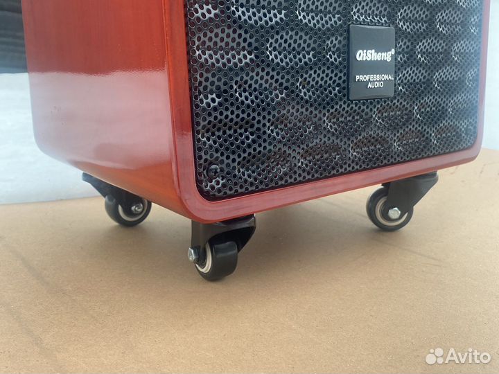 Портативная колонка караоке