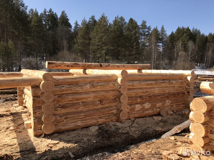Срубы для бани и дома из сосны Башкирский лес