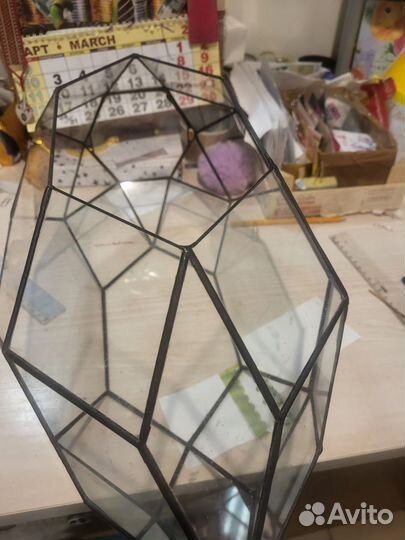 Флорариум для растений