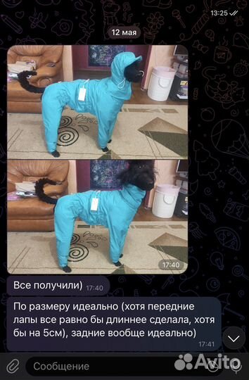 Комбинезон, дождевик, одежда для собак