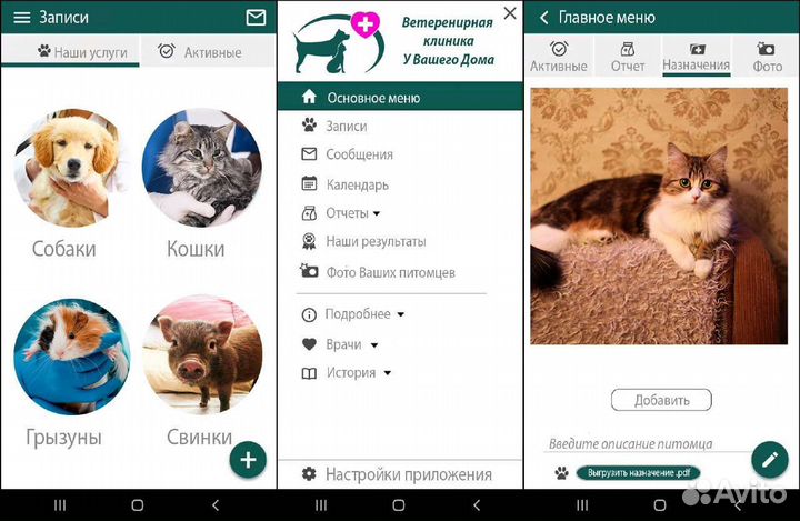 Услуги программиста,разаботка приложений,программы