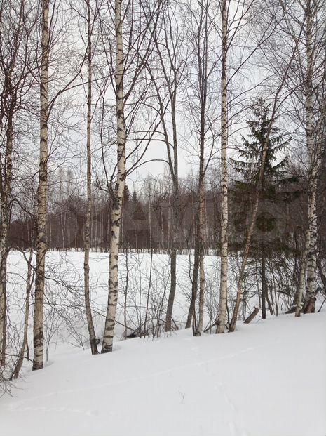 Участок 3 га (СНТ, ДНП)