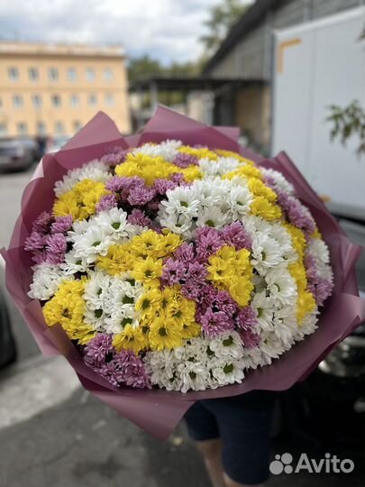 Хризантема букет микс