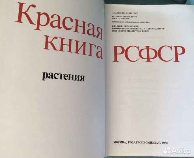 Красная книга РСФСР растения