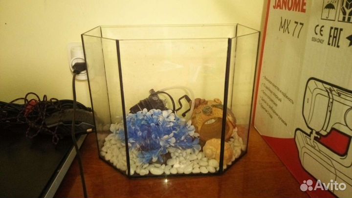 Аквариум с фильтром и декоративными элементами