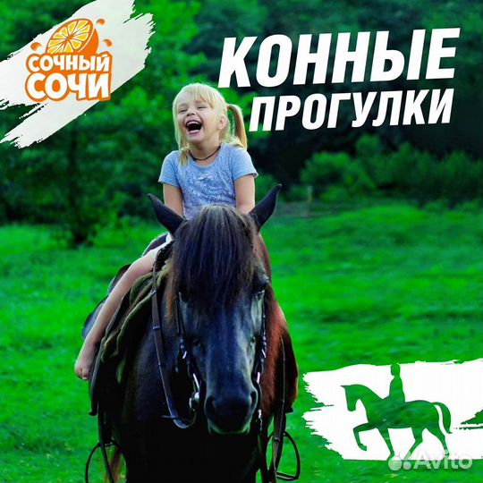 Конные прогулки