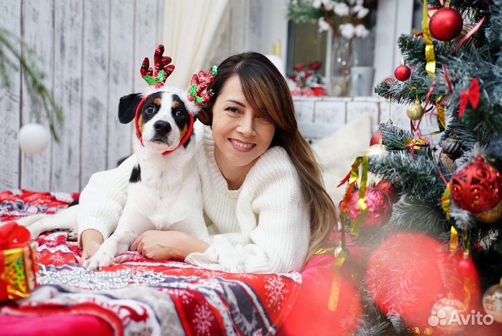 Предержка собак