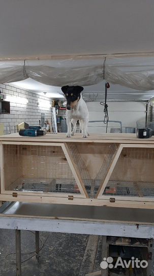 Клетка для бройлеров перепелов кроликов