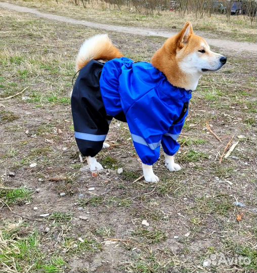 Комбинезоны дождевики для средних / крупных собак