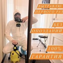 Частный дезинсектор, уничтожение клопов, тараканов