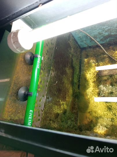 Аквариум juwel rio 240 литров