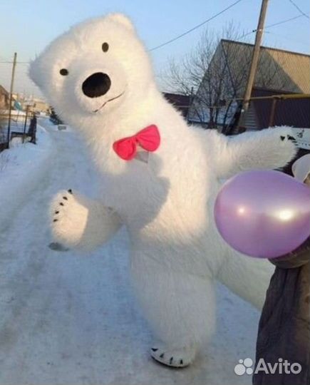 Белый Мишка на поздравление