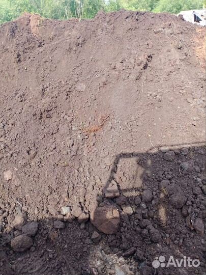 Торф низинный