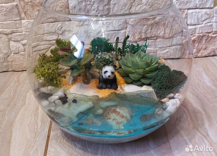 Флорариум с суккулентами