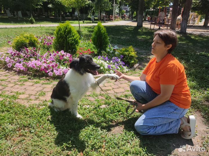 Собака Анфиса в добрые руки