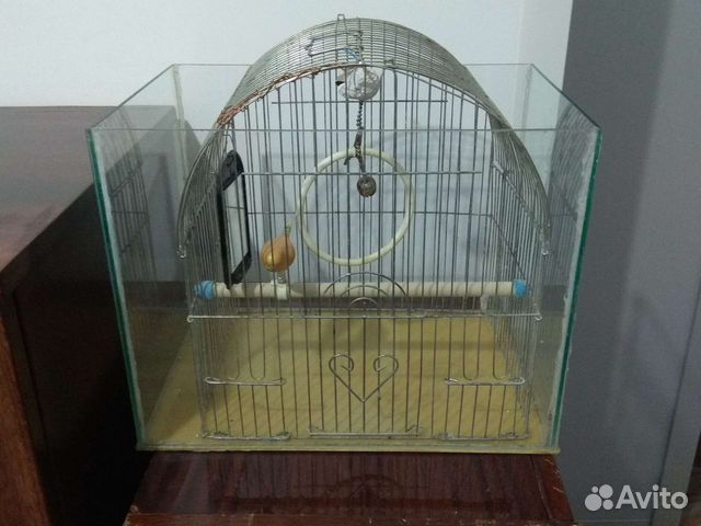 Клетка для попугая или аквариум