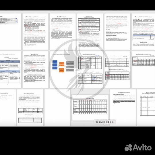 Бизнес план для соцконтракта
